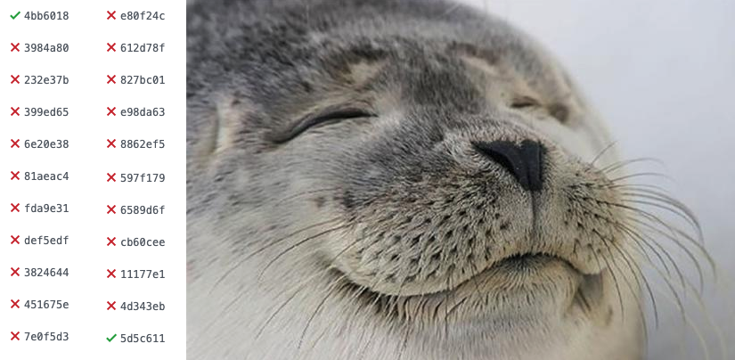 Satisfied seal when their build finally passes again
